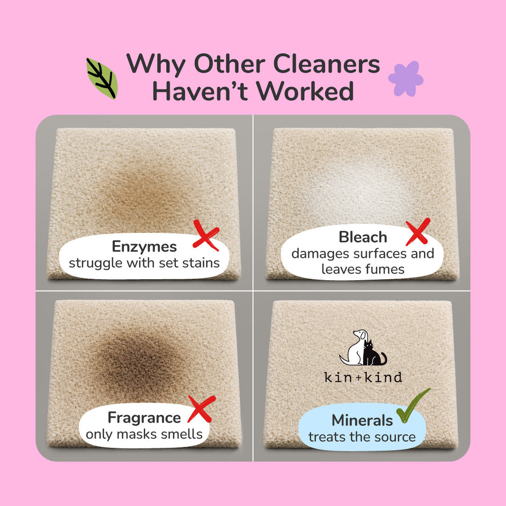 Pet Stain Remover product image 3