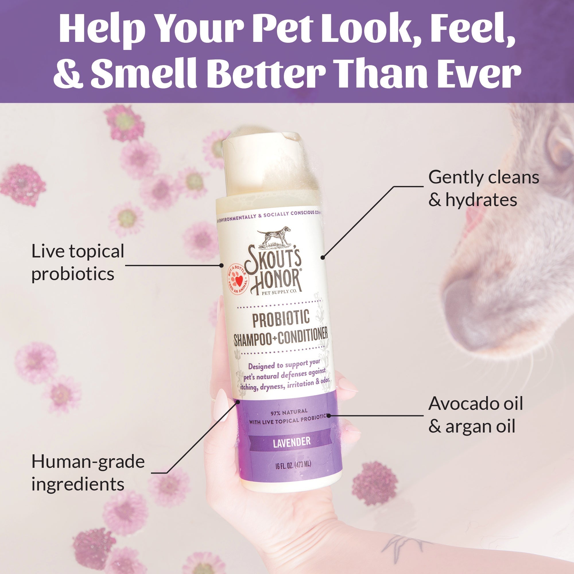 Probiotic Pet Shampoo and Conditioner product image 49