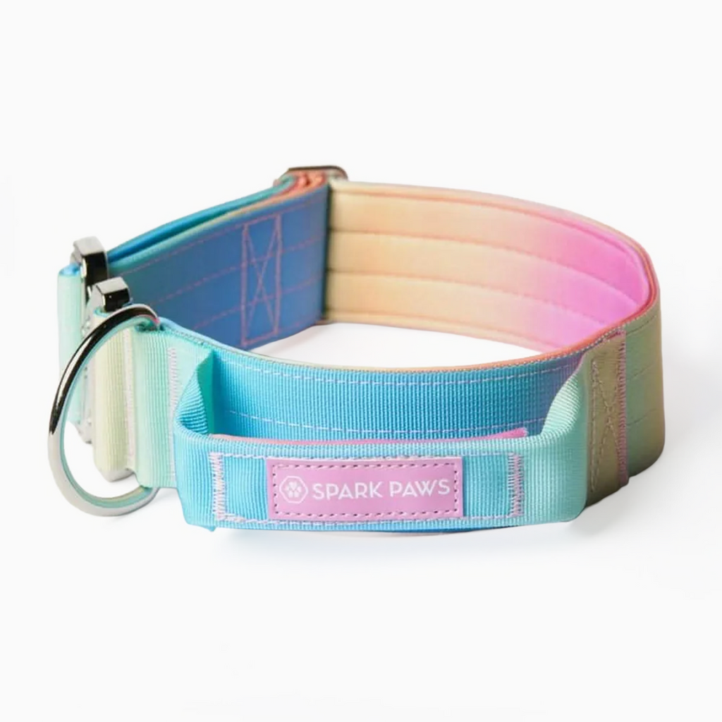 Control-Handle Dog Collar product image 1