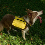 No-Pull Adventure Dog Harness product image 9