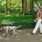 No-Pull Adventure Dog Harness product image 12
