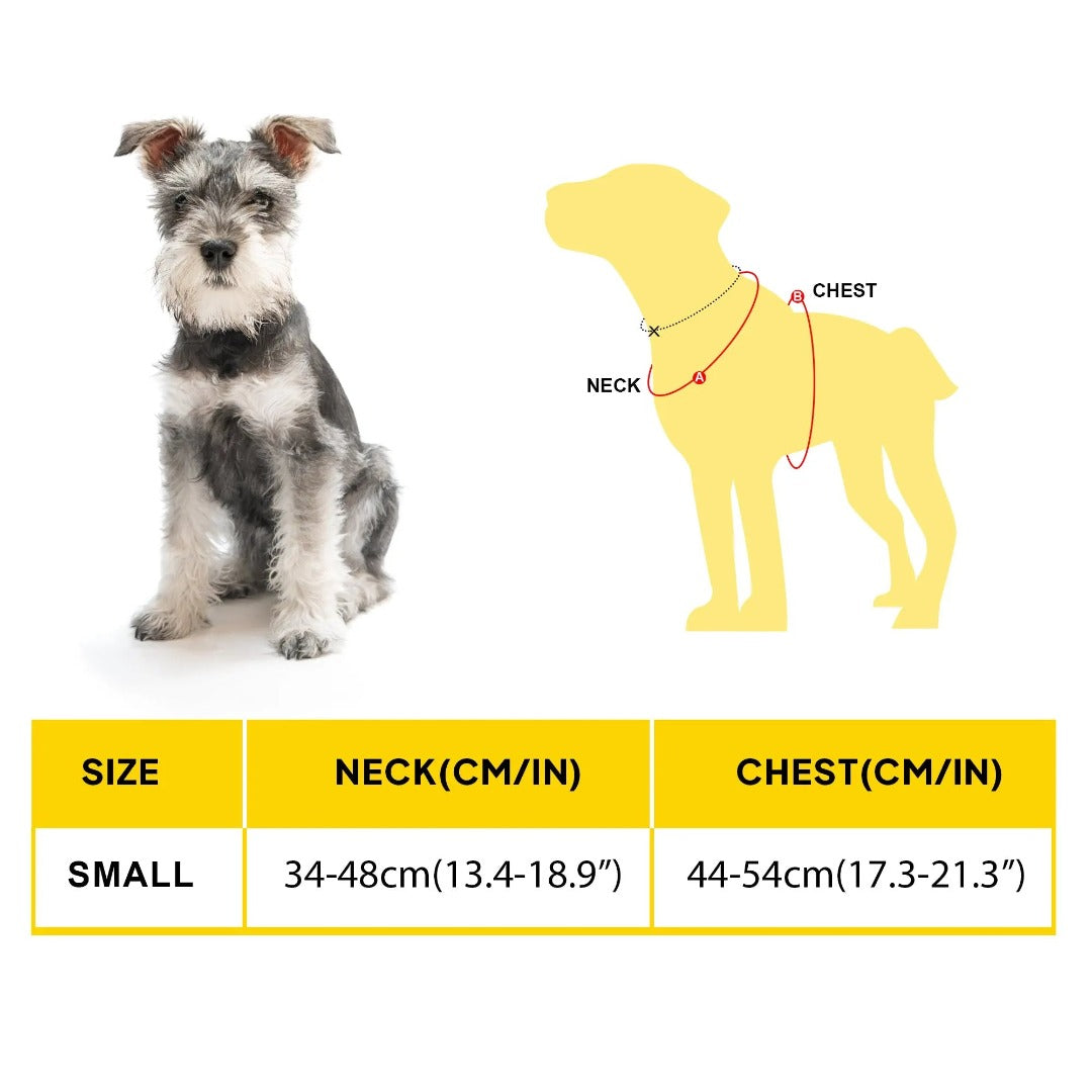 No-Pull Adventure Dog Harness product image 13