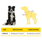No-Pull Adventure Dog Harness product image 14