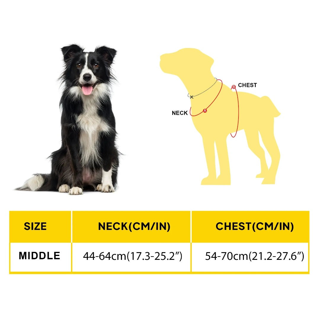 No-Pull Adventure Dog Harness product image 14