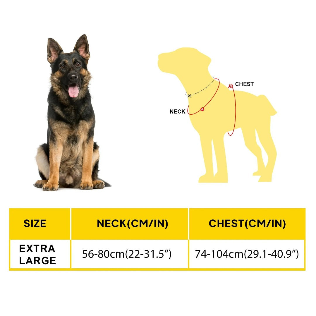 No-Pull Adventure Dog Harness product image 16