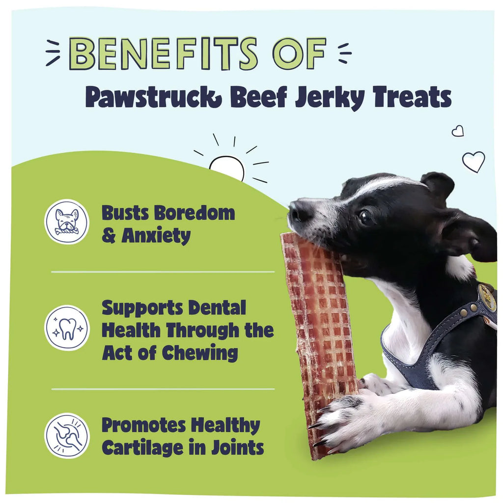 Premium Beef Jerky Treats product image 4