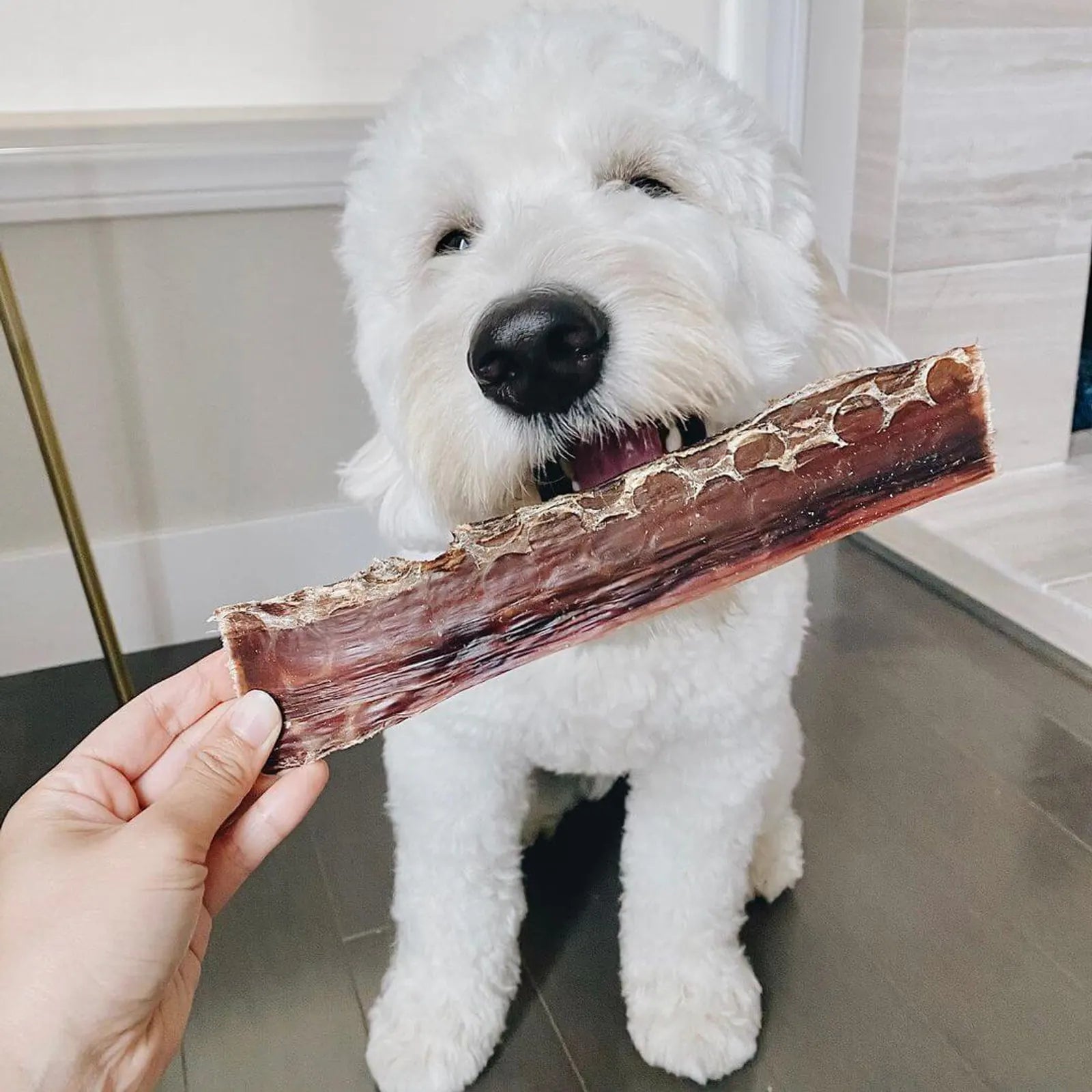Premium Beef Jerky Treats product image 8