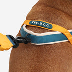 No-Pull Dog Harness product image 2