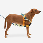 No-Pull Dog Harness product image 3