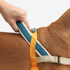 No-Pull Dog Harness product image 4
