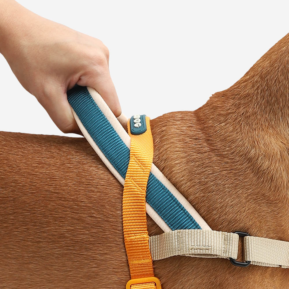 No-Pull Dog Harness product image 4