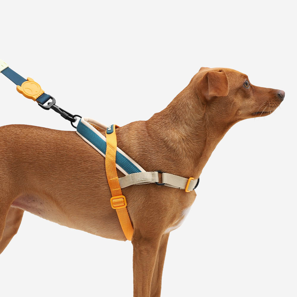 No-Pull Dog Harness product image 5