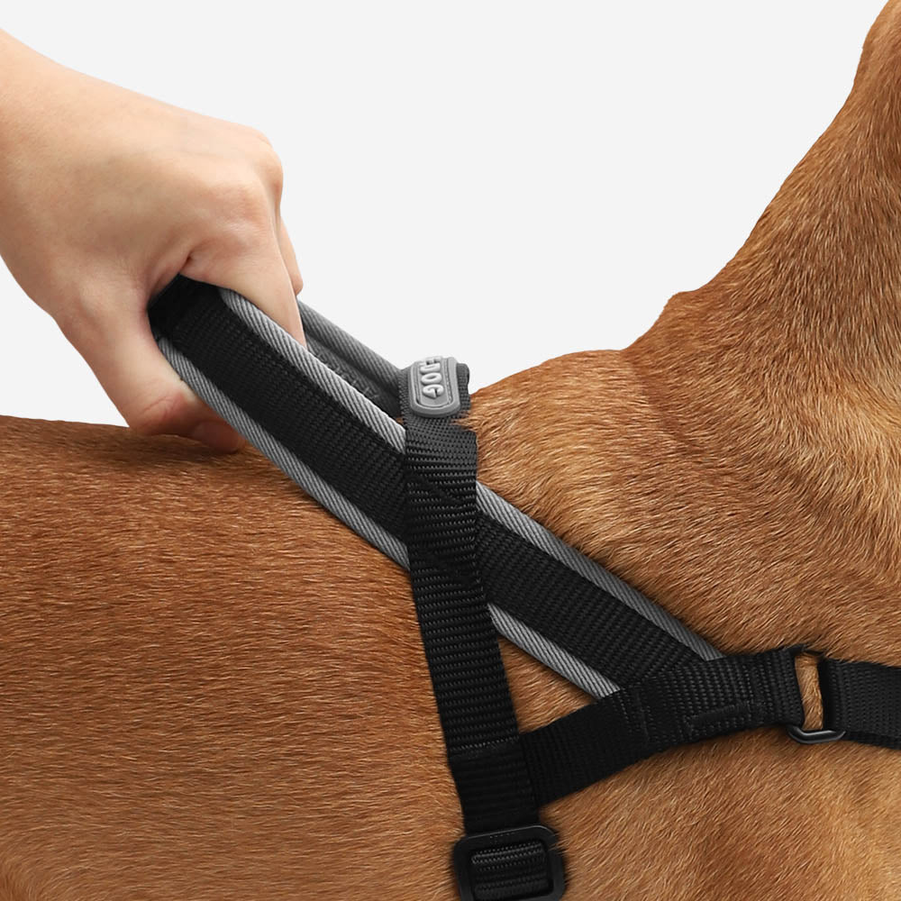 No-Pull Dog Harness product image 3