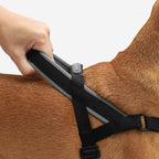 No-Pull Dog Harness product image 3