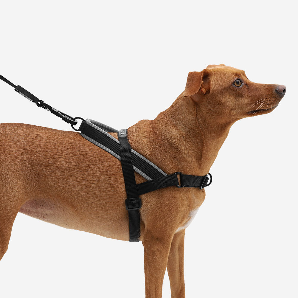 No-Pull Dog Harness product image 4
