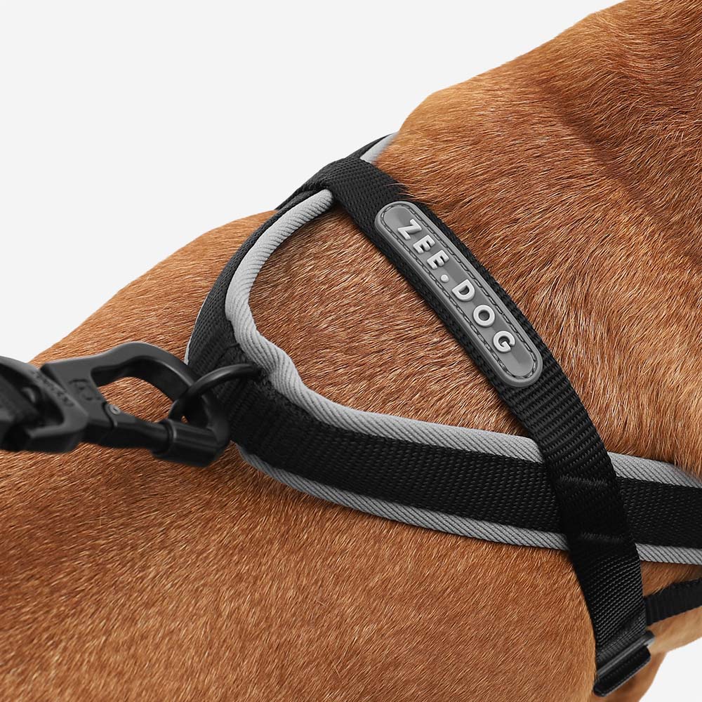 No-Pull Dog Harness product image 5