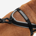 No-Pull Dog Harness product image 5