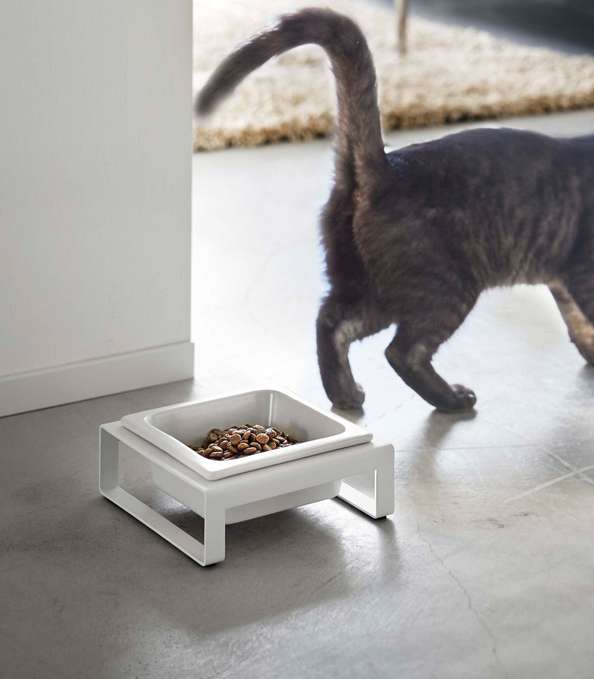Pet Food Bowl product image 1