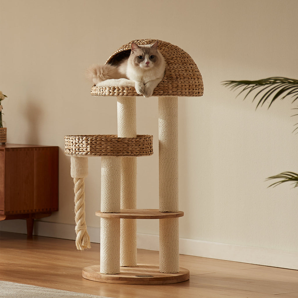 Cat Tree product image 1