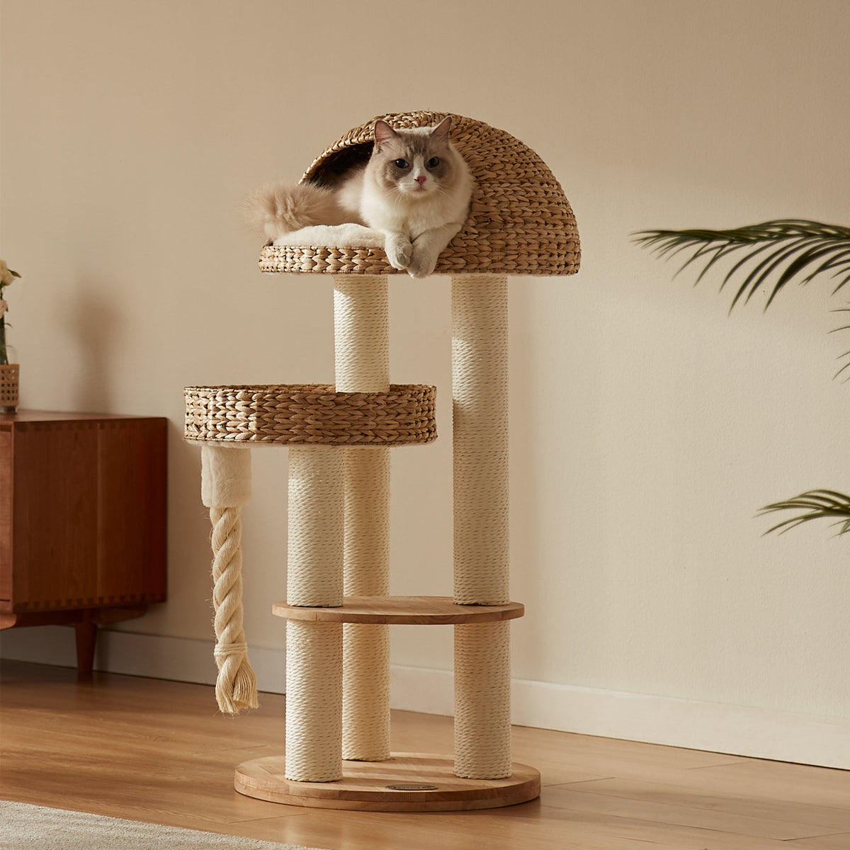 Cat Tree product image 1