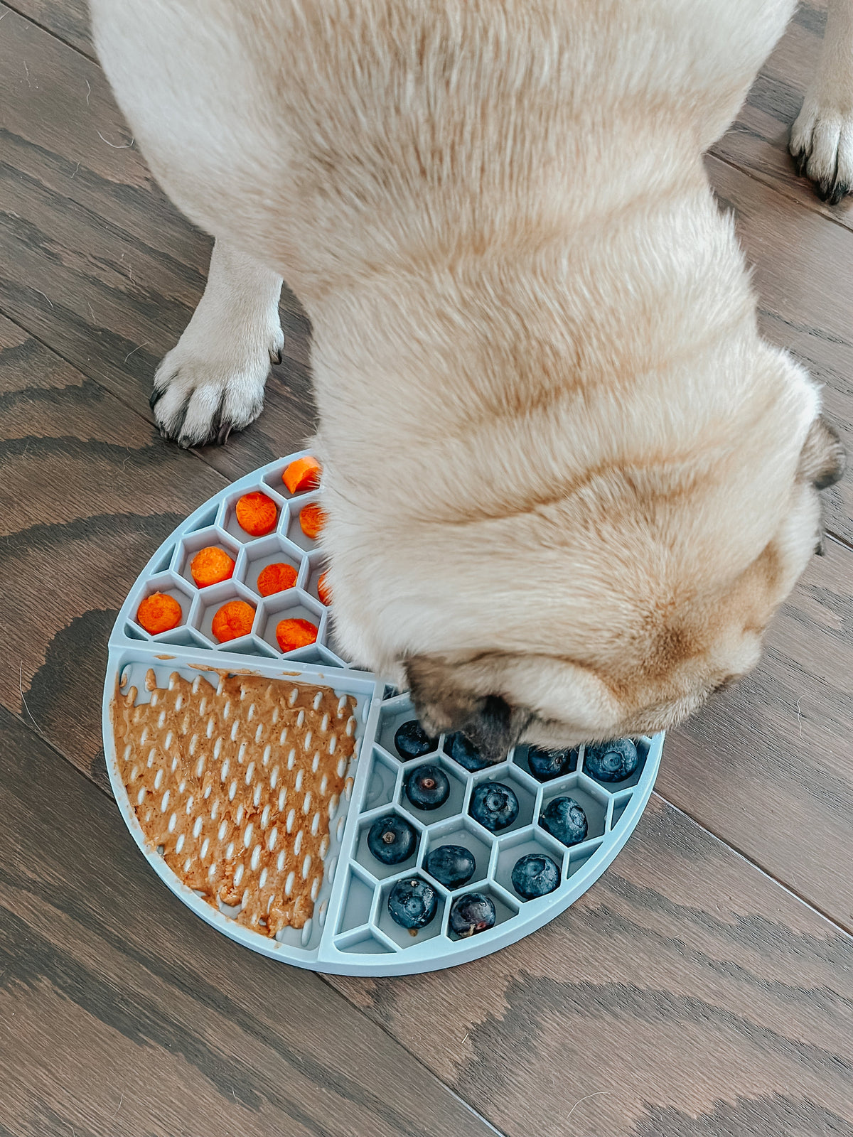 Round Silicone Dog Lick Mat product image 11