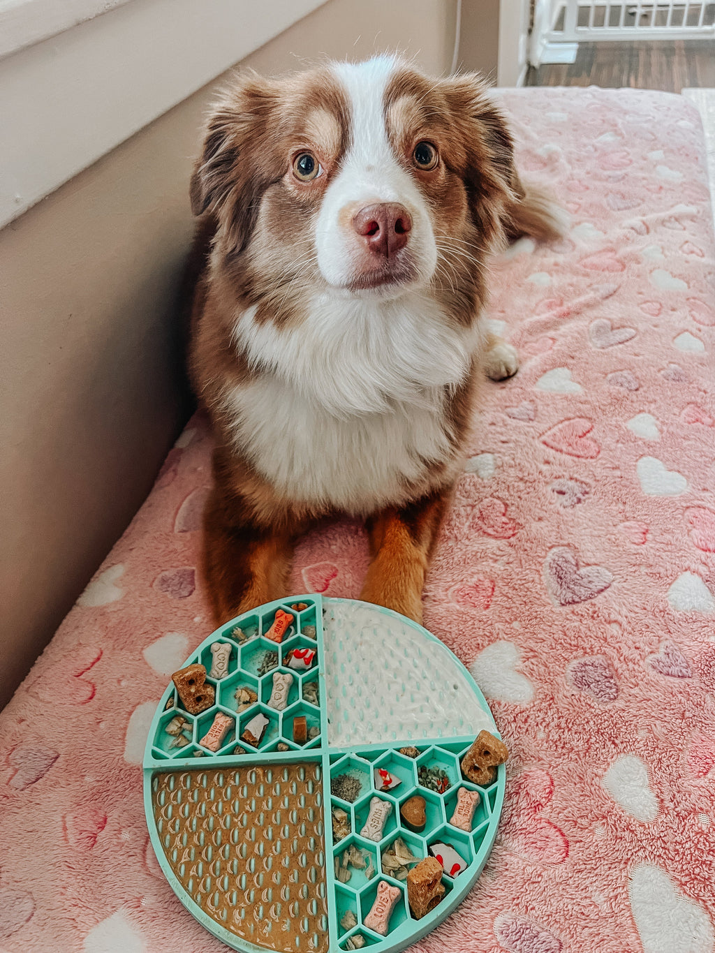 Round Silicone Dog Lick Mat product image 13