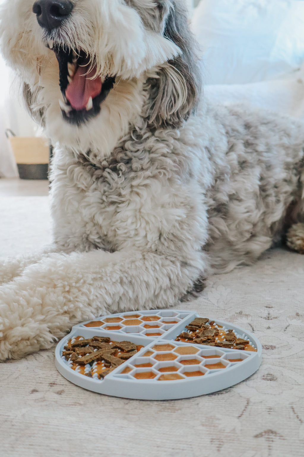 Round Silicone Dog Lick Mat product image 14