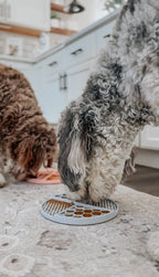 Round Silicone Dog Lick Mat product image 15