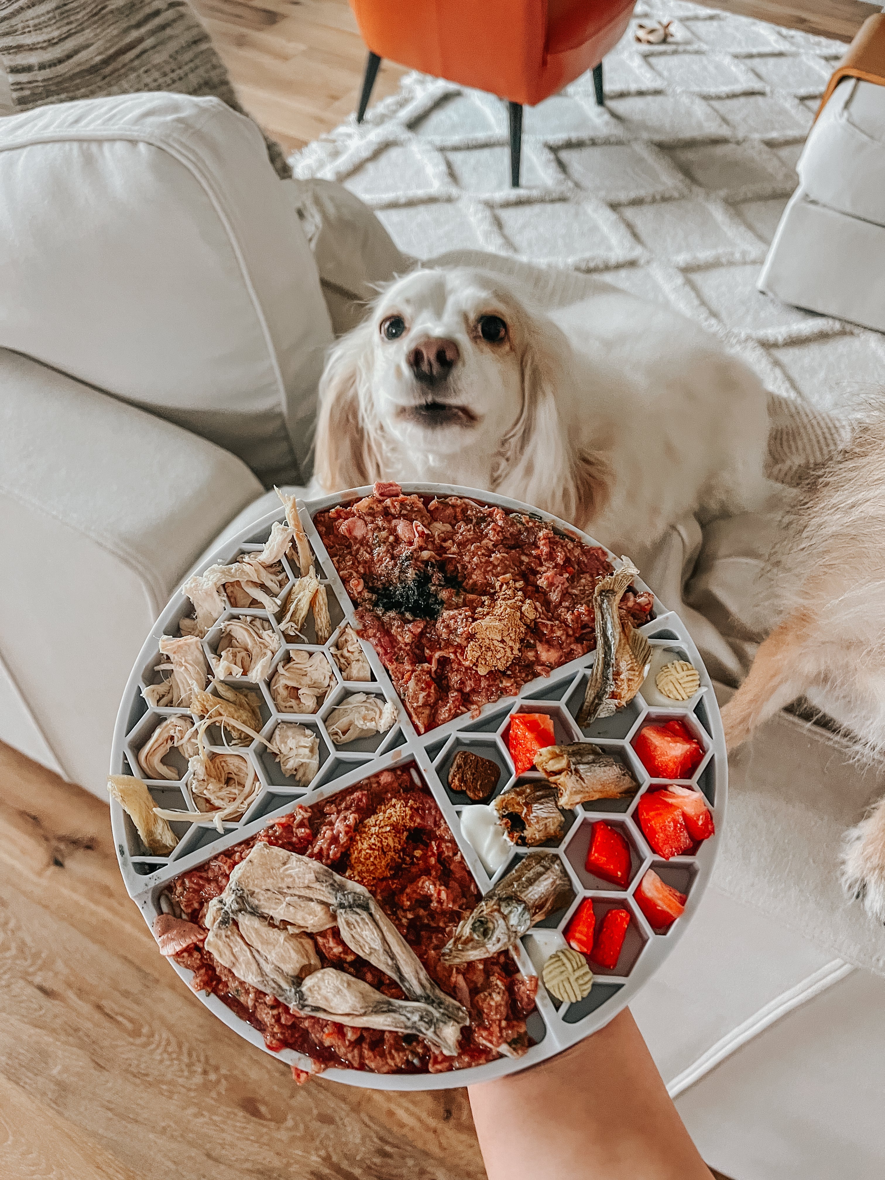 Round Silicone Dog Lick Mat product image 17