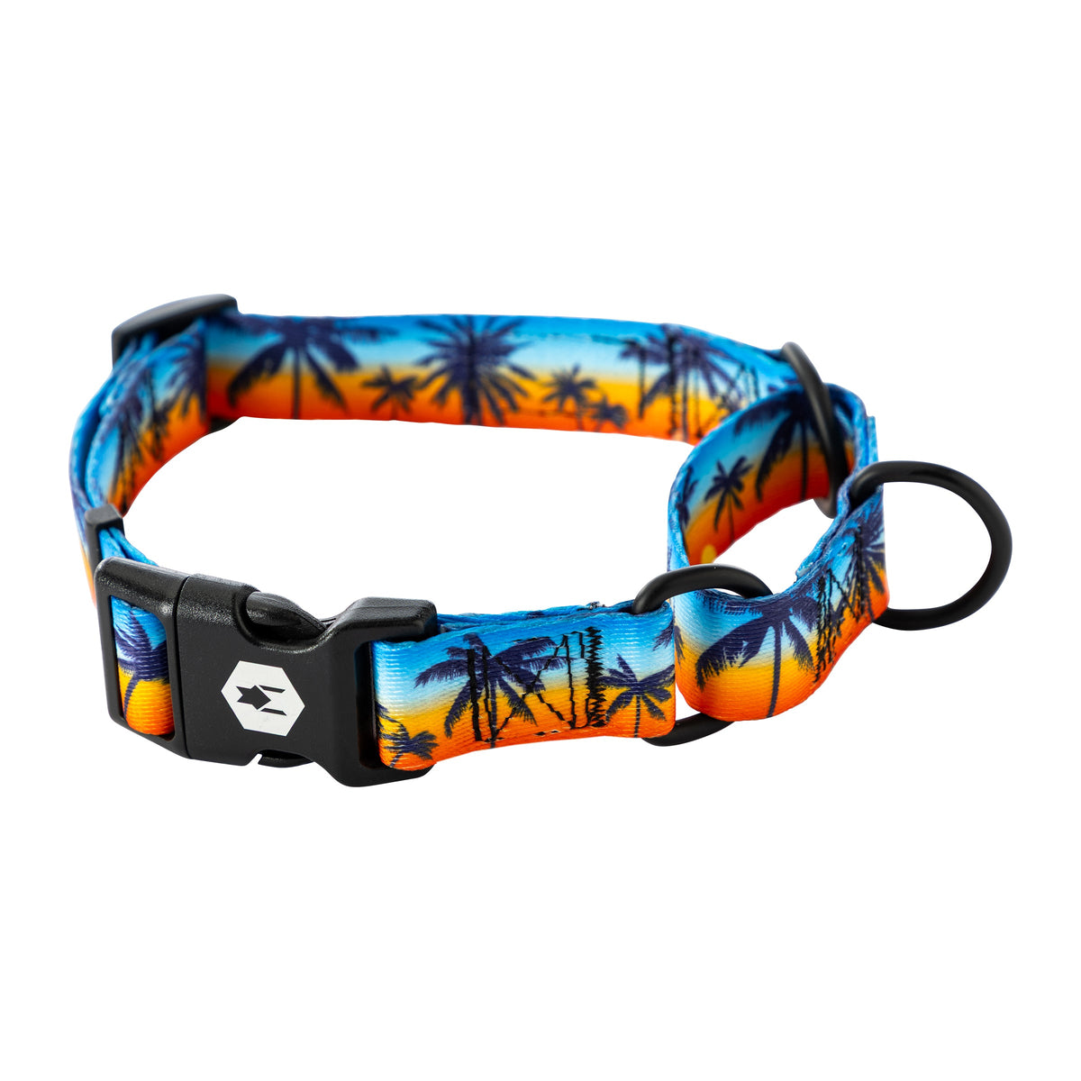 Martingale Dog Collar product image 1