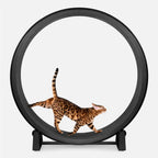 Cat Exercise Wheel product image 3