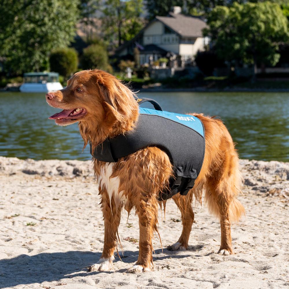 K9 Dog Life Jacket™