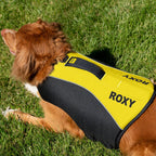 K9 Dog Life Jacket™