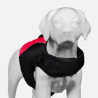 Low-Profile Buoyant Dog Life Jacket product image 4