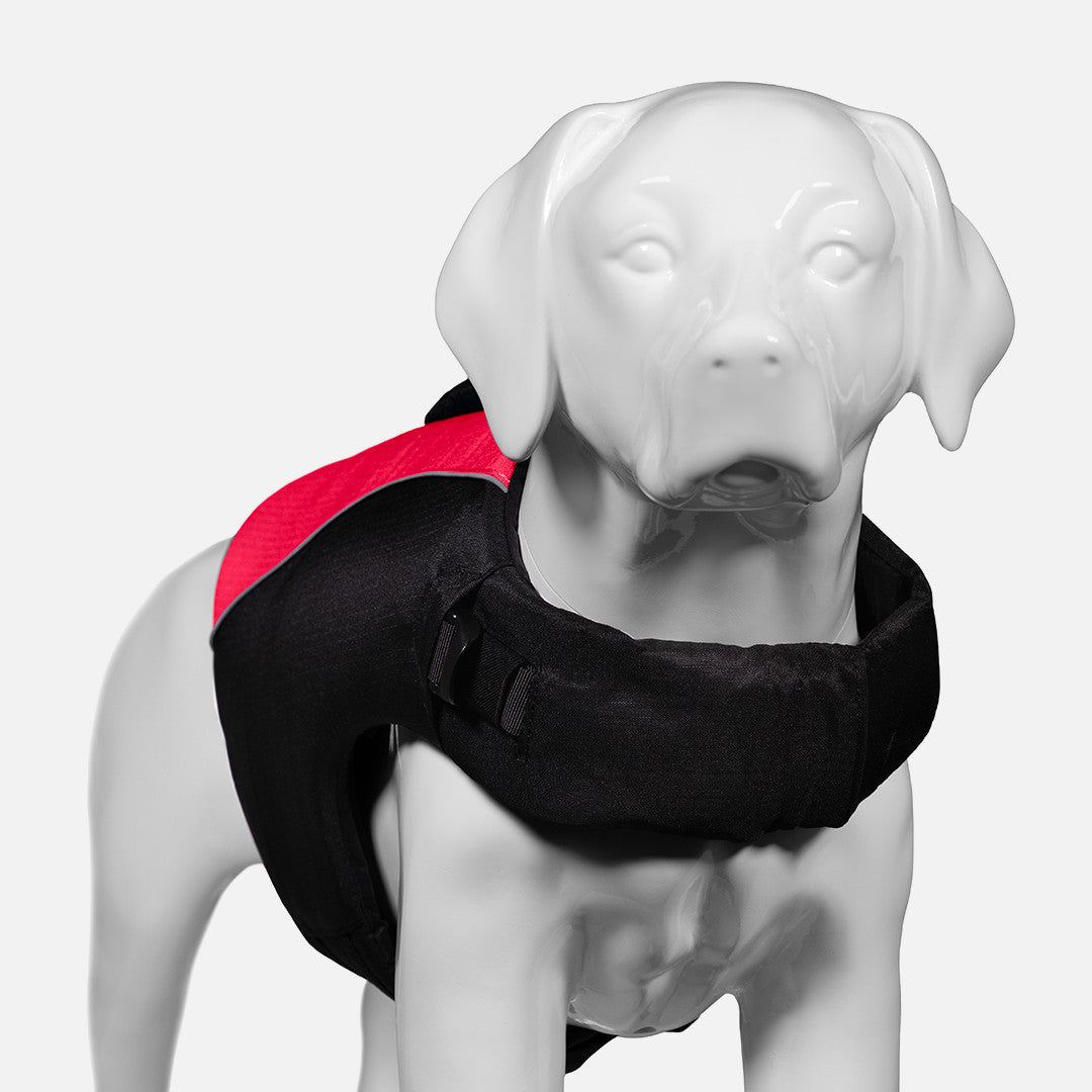 Low-Profile Buoyant Dog Life Jacket product image 4