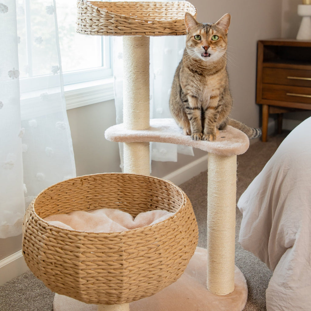 Three-Tier Rattan Bowl Cat Tree product image 5