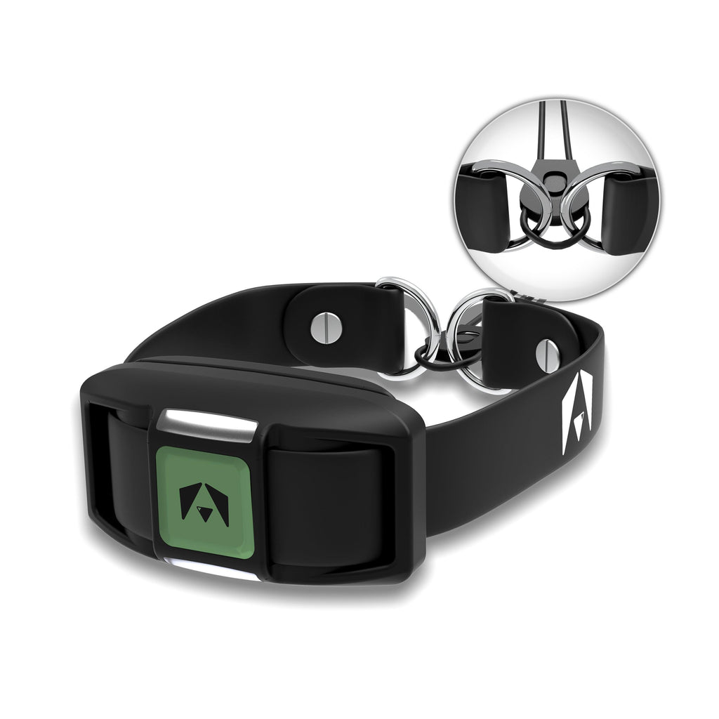 Dog Training Collar product image 1