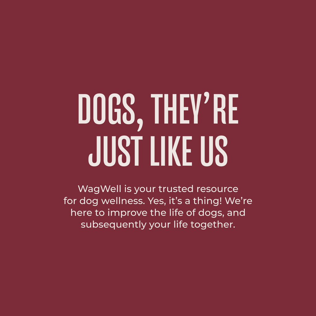 Dog Food Topper product image 5