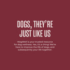 Dog Food Topper product image 5