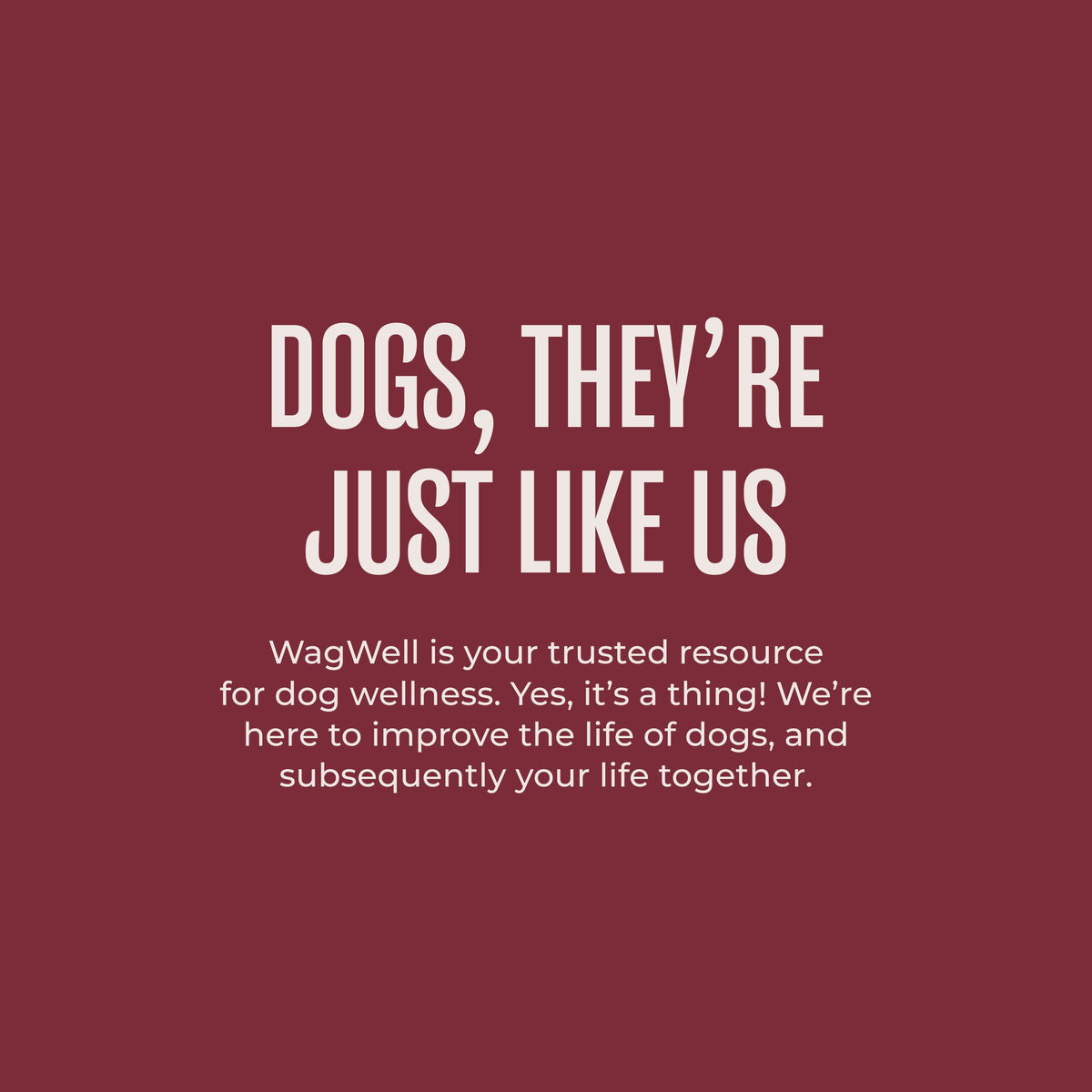 Dog Food Topper product image 5