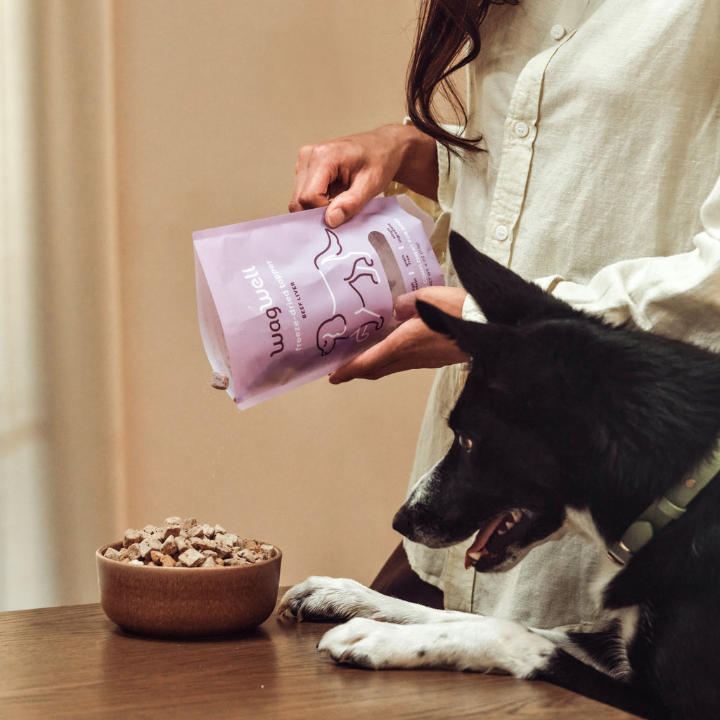 Dog Food Topper product image 8