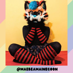 Pet Socks product image 5