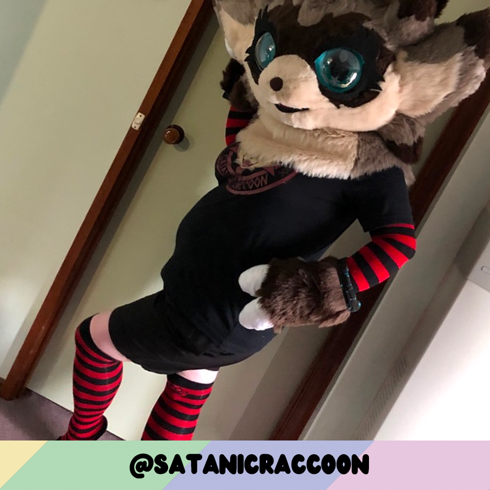 Pet Socks product image 8