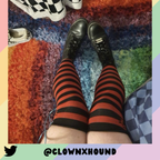 Pet Socks product image 12