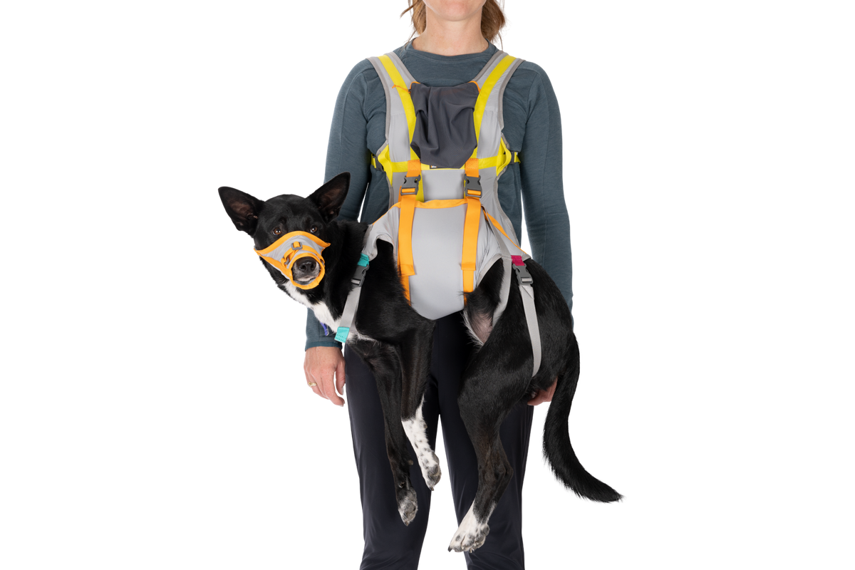 Dog Emergency Evacuation Kit product image 1