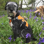Three-Strap Escape-Resistant Dog Harness product image 15