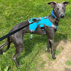 Three-Strap Escape-Resistant Dog Harness product image 31