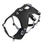 best whippet harness black