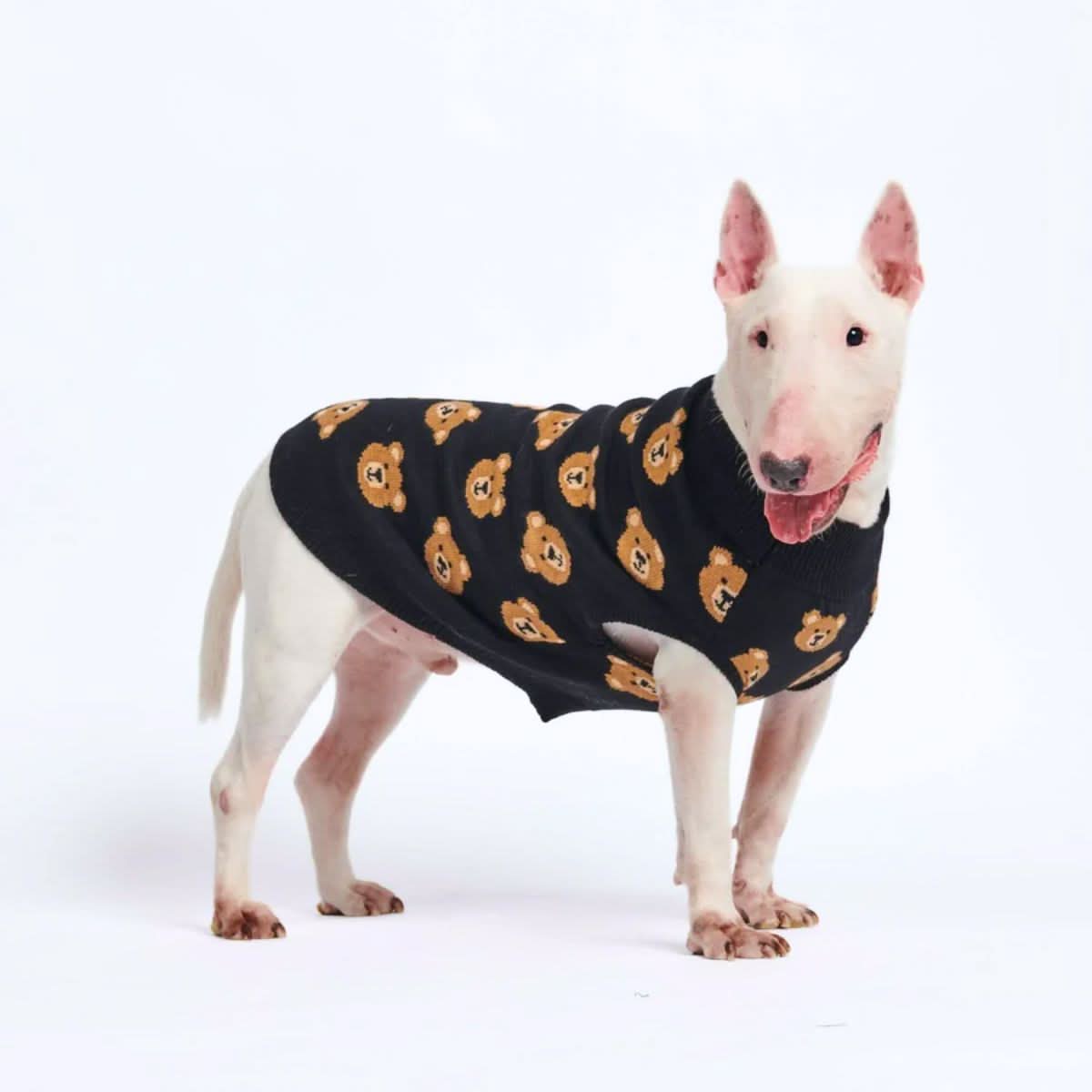 Black Teddy Bear Knit Dog Sweater product image 1