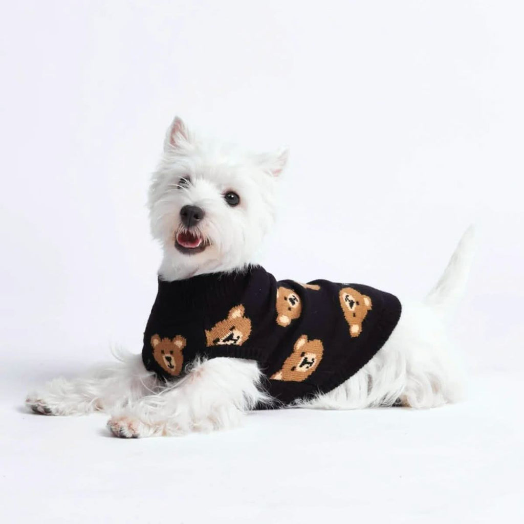 Black Teddy Bear Knit Dog Sweater product image 4